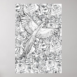 Poster Parrot Clarity