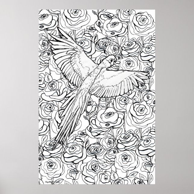 Poster Parrot Clarity (Frente)