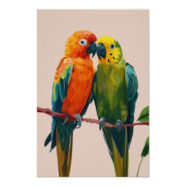 Pôster parrot couple (Frente)
