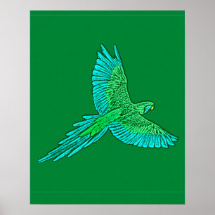 Pôster Parrot in Flight, Jade Green and Turquoise