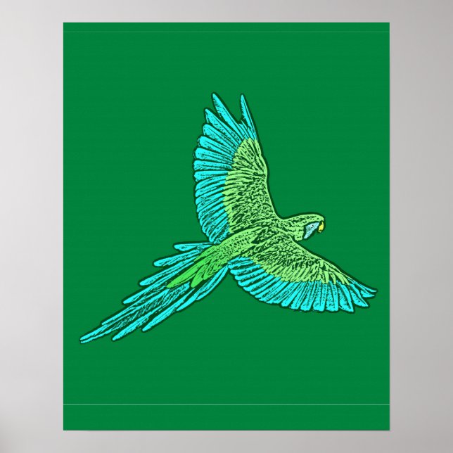 Pôster Parrot in Flight, Jade Green and Turquoise (Frente)
