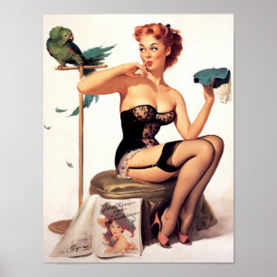 Poster Parrot Pin Up