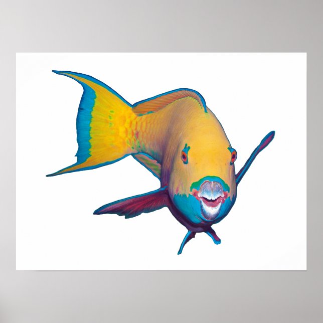 Poster Parrotfish - Design abstrato - Corte da foto | (Frente)
