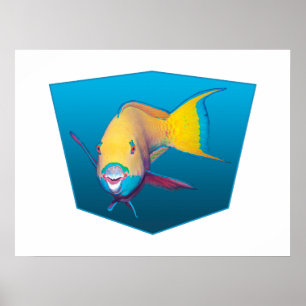 Poster Parrotfish - fundo azul de gradiente Design