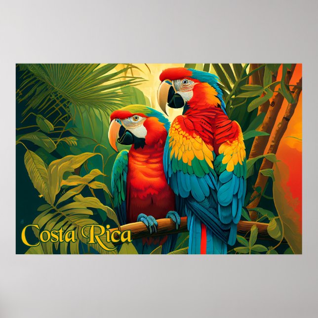 Poster Parrots da Costa Rica (Frente)