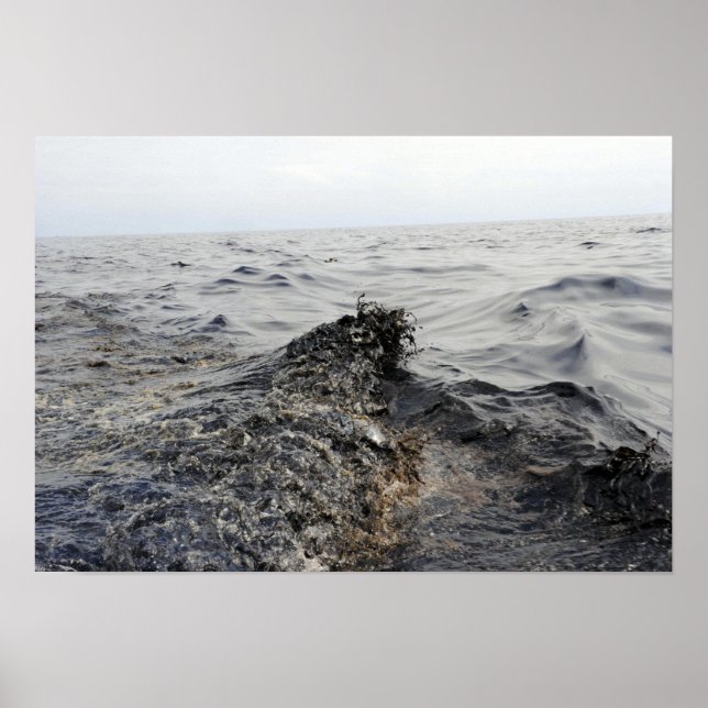 Poster Parte de uma maré negra no Golfo do México (Frente)