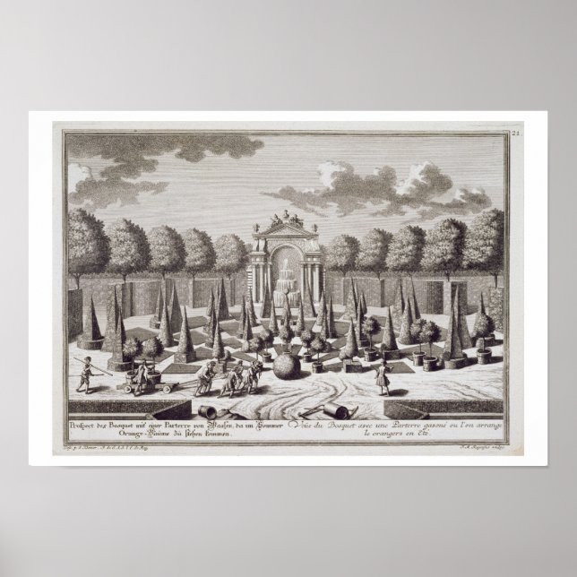 Pôster Parterre com laranjeiras no jardim do (Frente)