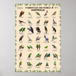 Poster Partes do mundo - Austrália