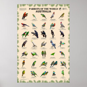 Poster Partes do mundo - Austrália