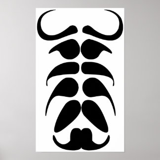 Poster Partido Mustache