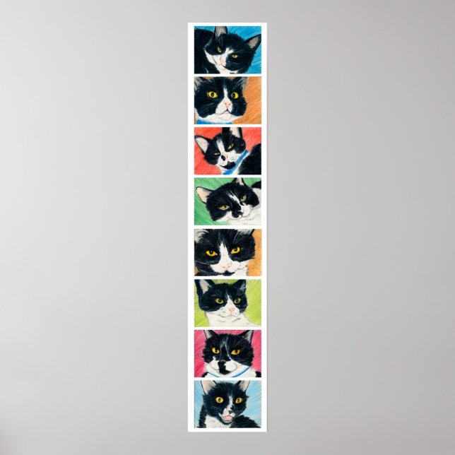 Pôster Partido Tuxedo (Frente)