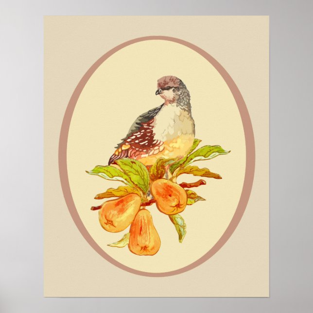 Pôster Partridge in a Pear Tree Christmas Cote (Frente)