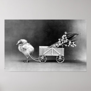 Pôster Páscoa vitoriana