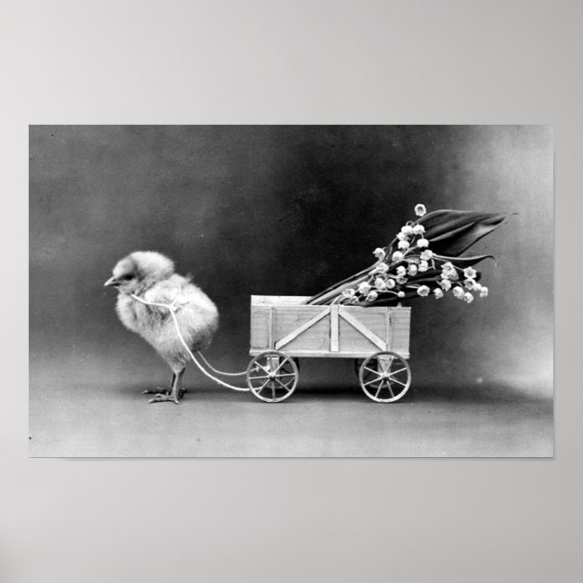 Pôster Páscoa vitoriana (Frente)