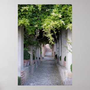 Poster Passagem Coberta por Folhagem, Espanha
