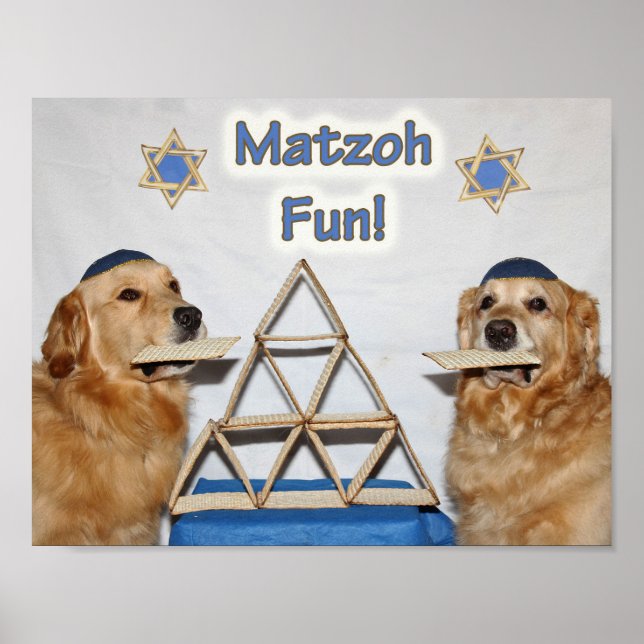 Poster Passagem divertida de Matzoh do ouro Retriever (Frente)
