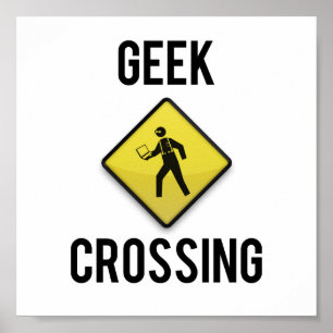 Pôster Passagem do geek