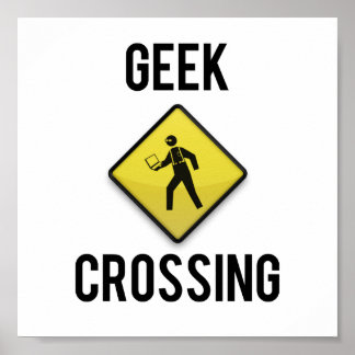 Pôster Passagem do geek