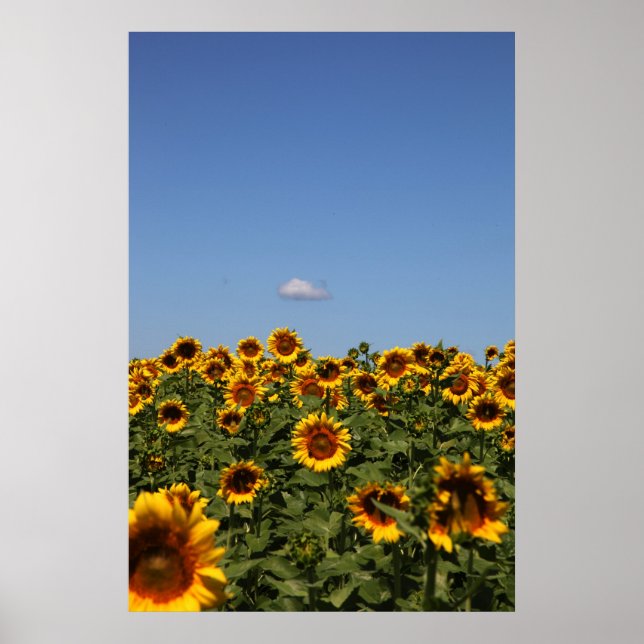 Pôster Passando (Frente)