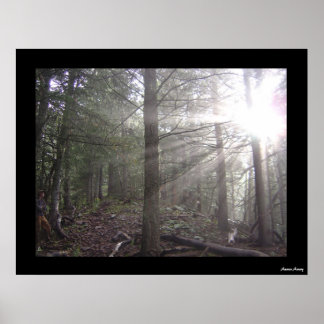 Pôster Passando por