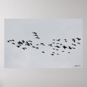 Pôster Passando por 1