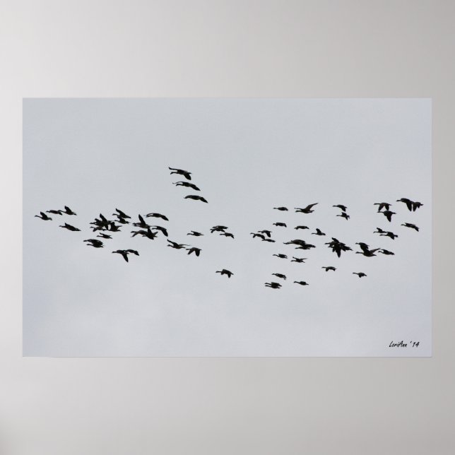 Pôster Passando por 1 (Frente)