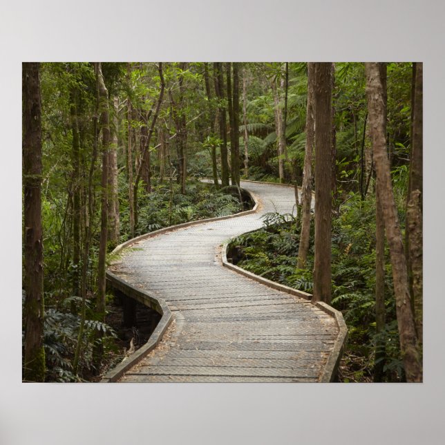 Poster Passarela para Nelson Falls, Franklin - Gordon (Frente)