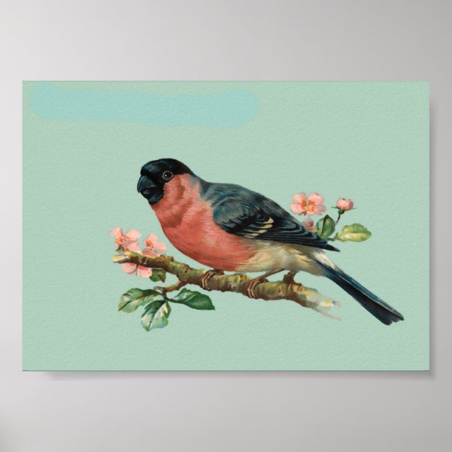 Poster Pássaro (Frente)