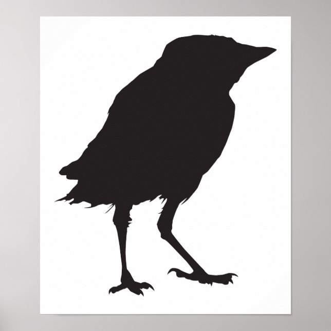 Pôster Pássaro (Frente)