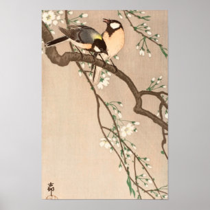 Poster Pássaro asiático chinês Chicadee