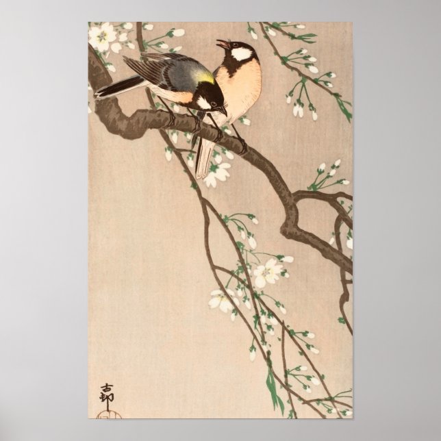 Poster Pássaro asiático japonês (Chickadebird) (Frente)