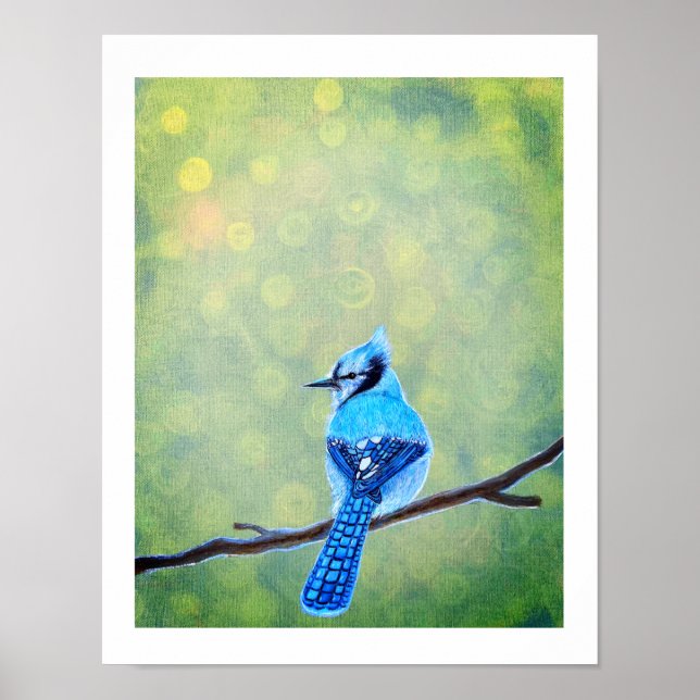 Poster Pássaro azul-jay (Frente)