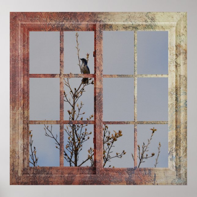 Pôster Pássaro Azul na Janela (Frente)