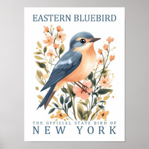 Poster Pássaro Bluebird oriental de Nova York nos EUA