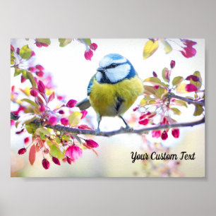 Poster Pássaro Canoro Colorido & Flores de Primavera, Sua