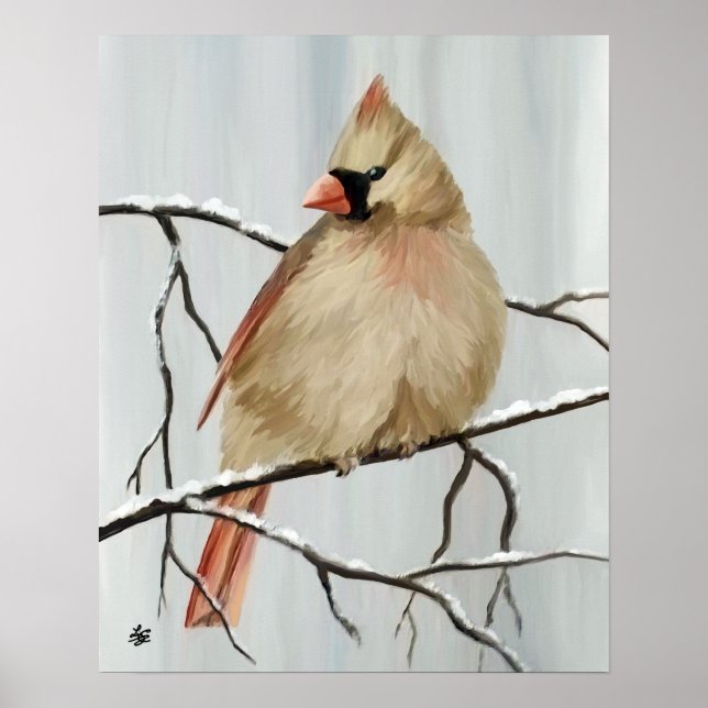 Poster Pássaro Cardinal Do norte No Inverno (Frente)