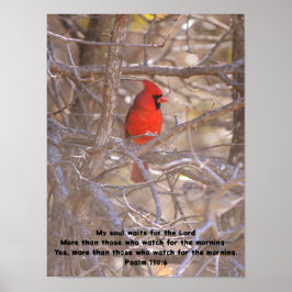 Poster Pássaro Cardinal Vermelho Esperando Bíblia Pacífic