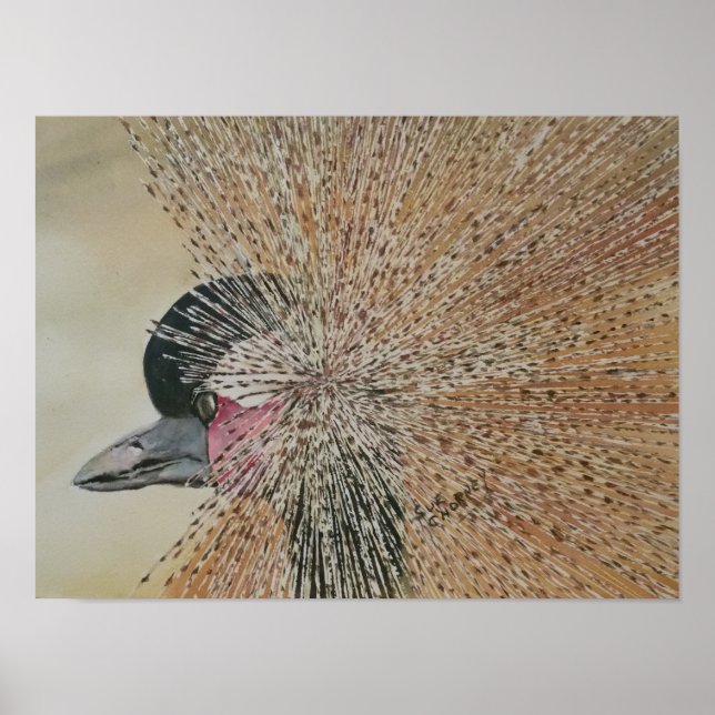 Poster Pássaro Crano Africano Pendente (Frente)