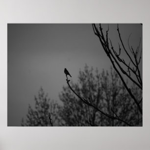 Pôster Pássaro crepuscular