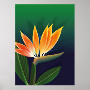 Poster Pássaro da flor do paraíso