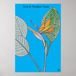 Poster Pássaro da Flor do Paraíso