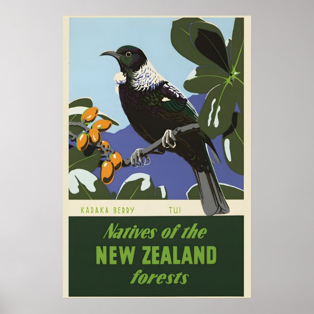 Poster Pássaro da Floresta da Nova Zelândia Baga Karaka A (Frente)
