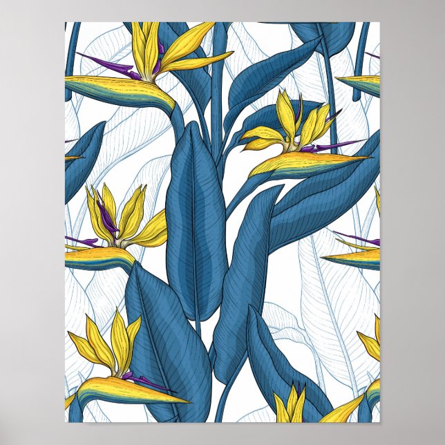Poster Pássaro das flores do paraíso em branco (Frente)