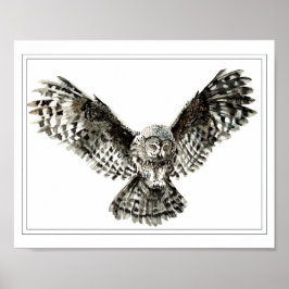 Poster Pássaro de Coruja ou Coruja Original