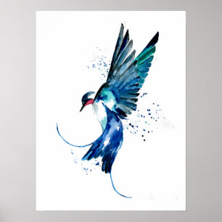 Poster Pássaro de Engorda Azul