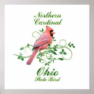 Pôster Pássaro de estado cardinal de Ohio