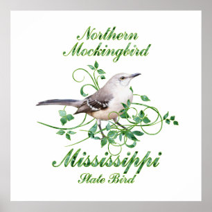 Pôster Pássaro de estado de Mississippi do tordo dos