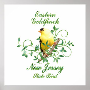 Pôster Pássaro de estado de New-jersey do Goldfinch