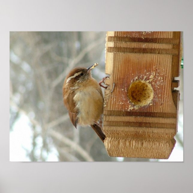 Pôster Pássaro de manteiga de amendoim (Frente)