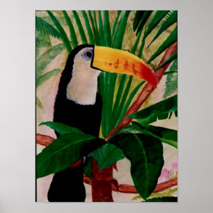 Poster Pássaro de Toucan sul - arte americana do pássar